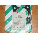 Cylinder Head Gasket BL550 Payen 607411 607414 607989 90118383 90200737 Quality