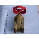 2" Brass Gate Valve PN16
